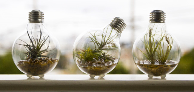 Faça seu lixo virar luxo