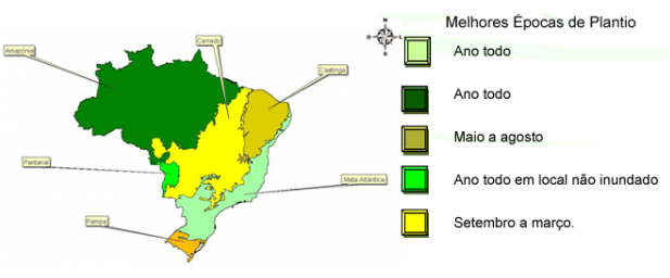 Bioma Gonçalo Alves