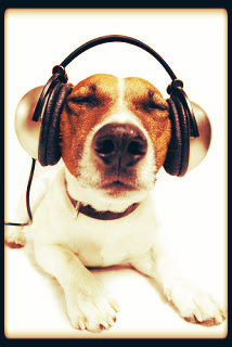 Gosto musical dos cães.