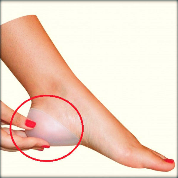 Órgãos do corpo humano e suas funções