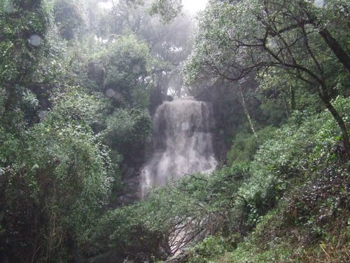 Cascata dos Narcisos.
