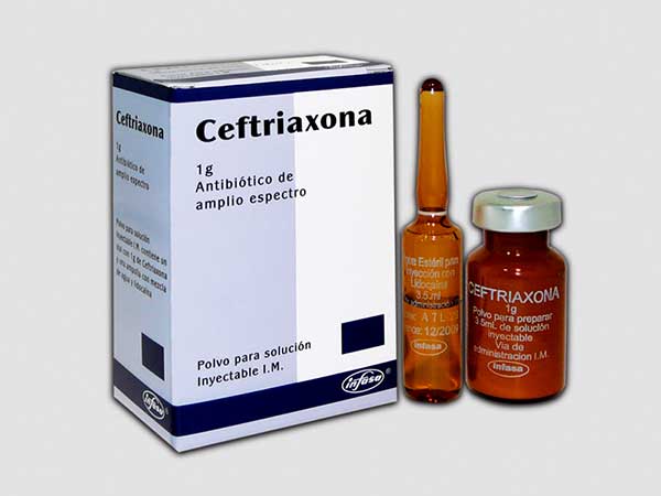 medicamento Ceftriaxona