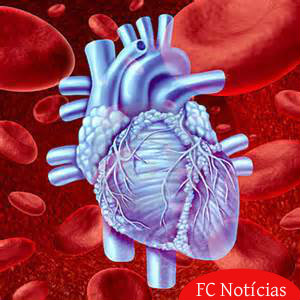 Funcionamento da circulação sanguínea no corpo