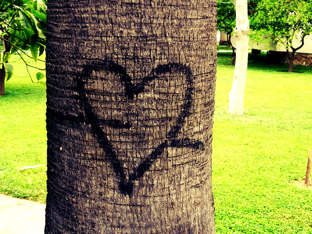 Coração na árvore