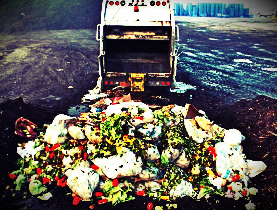 Desperdício de alimentos, como conter?