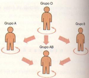 Qual tipo sanguíneo é receptor universal - Fc Noticias