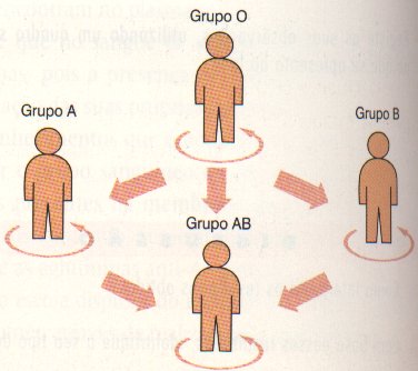 Diagrama mostrando a compatibilidade dos tipos sanguíneos.