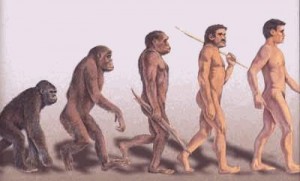 Evolução