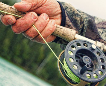 Consulta Habilitação Seguro-Desemprego pescador artesanal