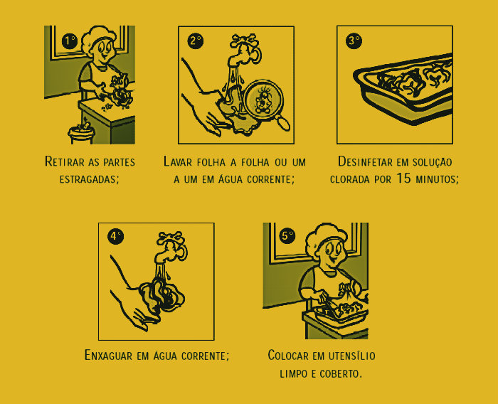 Limpeza dos alimentos passo a passo. (Foto: Reprodução)