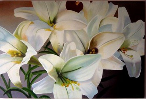 Lírios da Paz Lírios da Paz