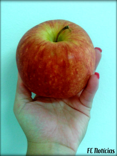 Lista de alimentos que mantém o bronze.