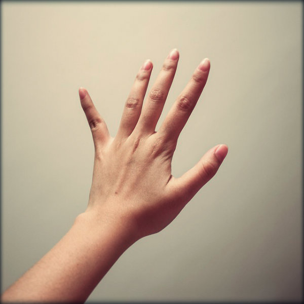 Órgãos do corpo humano e suas funções