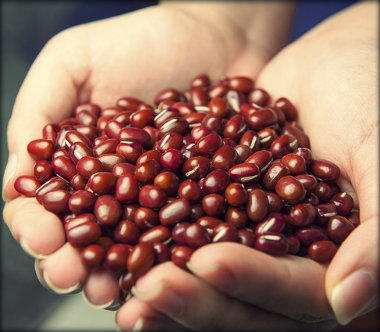Feijão ajuda a ganhar massa muscular