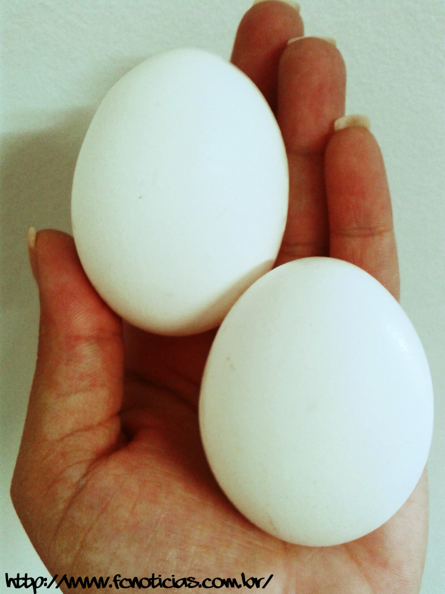 Perigo em consumir ovos crus