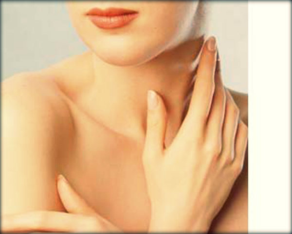 Órgãos do corpo humano e suas funções