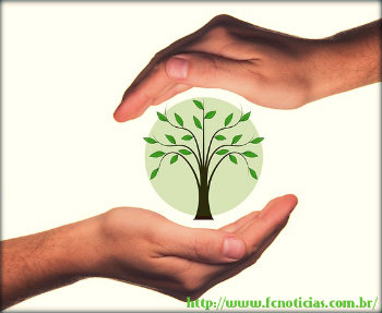 Como plantar uma árvore