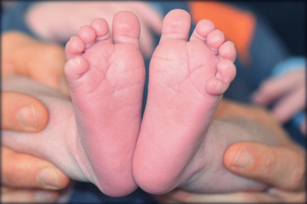 Órgãos do corpo humano e suas funções