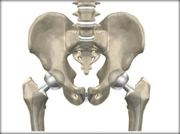 Órgãos do corpo humano e suas funções