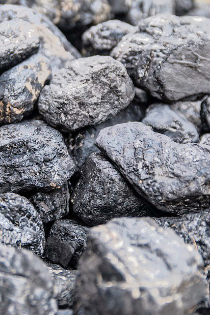 Como é criado o carvão mineral