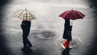 Seguir o seu próprio caminho Seguir o seu próprio caminho