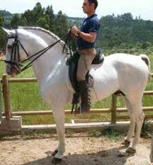 Dicas de montaria . Montando cavalo