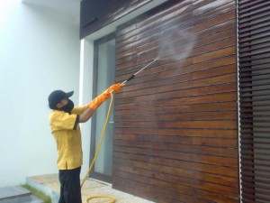 dedetização profissional