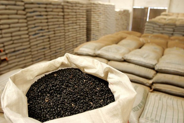 saca de feijão preto de 60 kg
