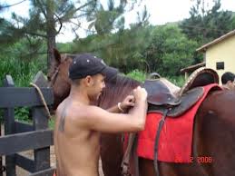 sela e cavalo. colocando sela no cavalo
